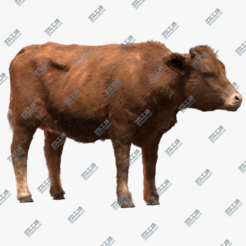 images/goods_img/2021040233/Cow (Rigged) 3D model/1.jpg